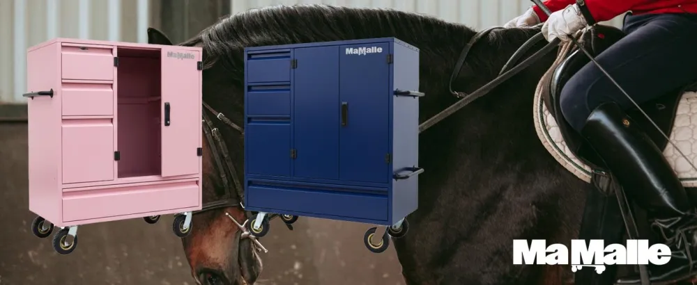 malle concours équitation cheval