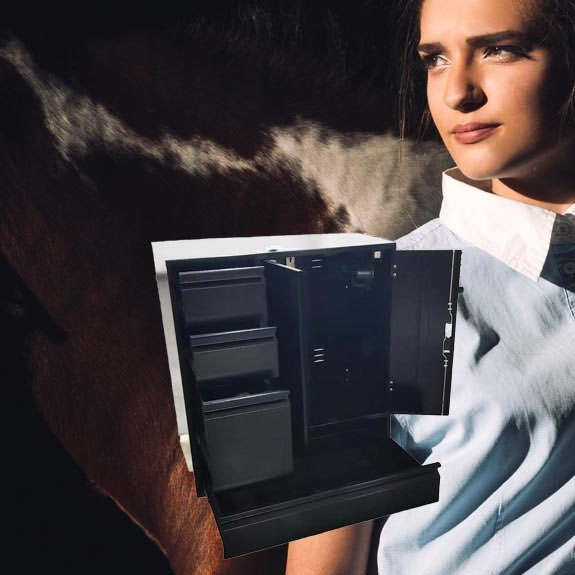 malle concours équitation cheval